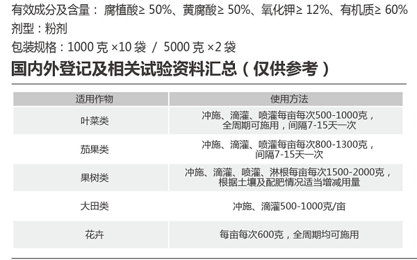 盈柯