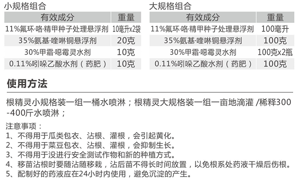 根精灵