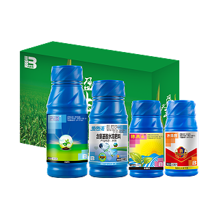 盈天丰®(玉米2号)