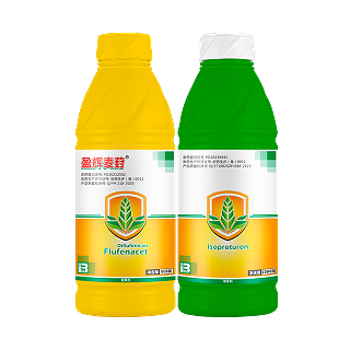 盈辉麦葑®(组合)