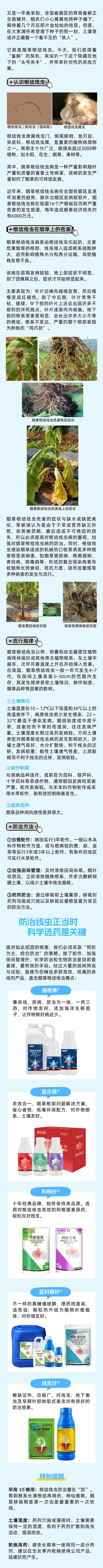 简约像素风企业招聘海报__2026-03-07+09_15_40