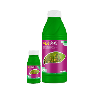 晓光稻盼®