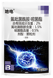 地电®—为您从苗期就打下丰收根基